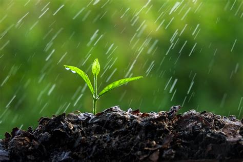 Innovative Soil Moisture Management Technologies .